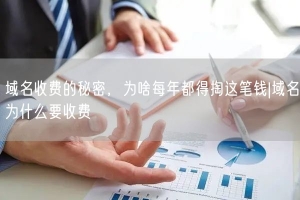 域名收费的秘密，为啥每年都得掏这笔钱|域名为什么要收费